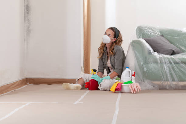 Reliable Mold Cleanup contractor in Albertson, NY by Cheap Mold Removal